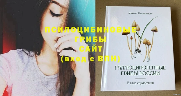 тгк Алзамай