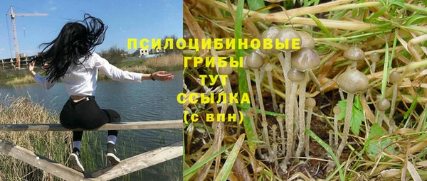 тгк Алексеевка